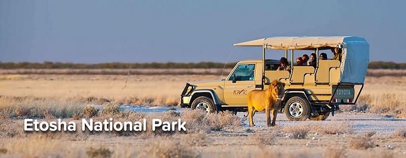 Namibia Wildlife & Resorts: Etosha National Park